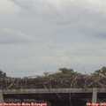 16_25-mast.jpg