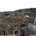16_35-nest.jpg