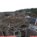 17_05-nest.jpg