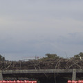 17_10-mast.jpg