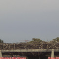 18_10-mast.jpg