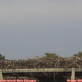 18_20-mast.jpg