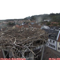 18_20-nest.jpg