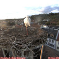 19_30-nest.jpg