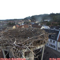 07_05-nest.jpg