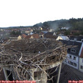 07_10-nest.jpg