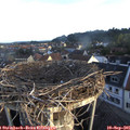 07_15-nest.jpg