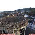 07_20-nest.jpg