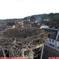 07_25-nest.jpg