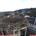 07_30-nest.jpg