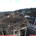 07_35-nest.jpg