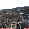 07_40-nest.jpg