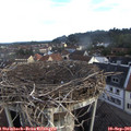 07_45-nest.jpg