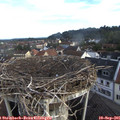07_50-nest.jpg