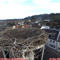 07_55-nest.jpg