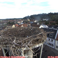 08_00-nest.jpg
