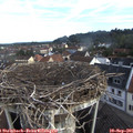 08_05-nest.jpg