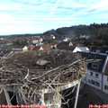 08_10-nest.jpg