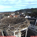 08_25-nest.jpg