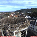 08_35-nest.jpg