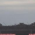 08_40-mast.jpg