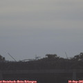 08_45-mast.jpg