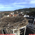 08_45-nest.jpg