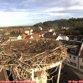 08_50-nest.jpg