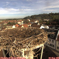 08_55-nest.jpg