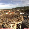 09_00-nest.jpg
