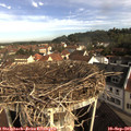 09_05-nest.jpg