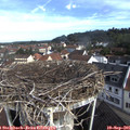 09_10-nest.jpg