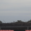 09_20-mast.jpg