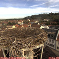 09_25-nest.jpg