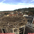 09_35-nest.jpg