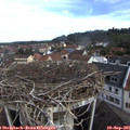 09_55-nest.jpg