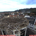 10_00-nest.jpg