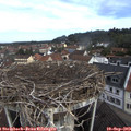 10_05-nest.jpg