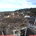 10_10-nest.jpg