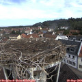 10_15-nest.jpg