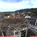 10_20-nest.jpg