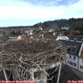 10_25-nest.jpg
