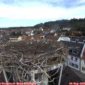 10_30-nest.jpg