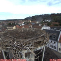 10_35-nest.jpg