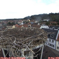 10_40-nest.jpg