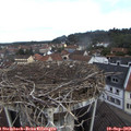 10_45-nest.jpg