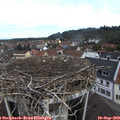 10_50-nest.jpg