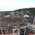 10_55-nest.jpg
