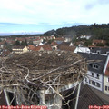 11_05-nest.jpg
