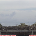 11_10-mast.jpg